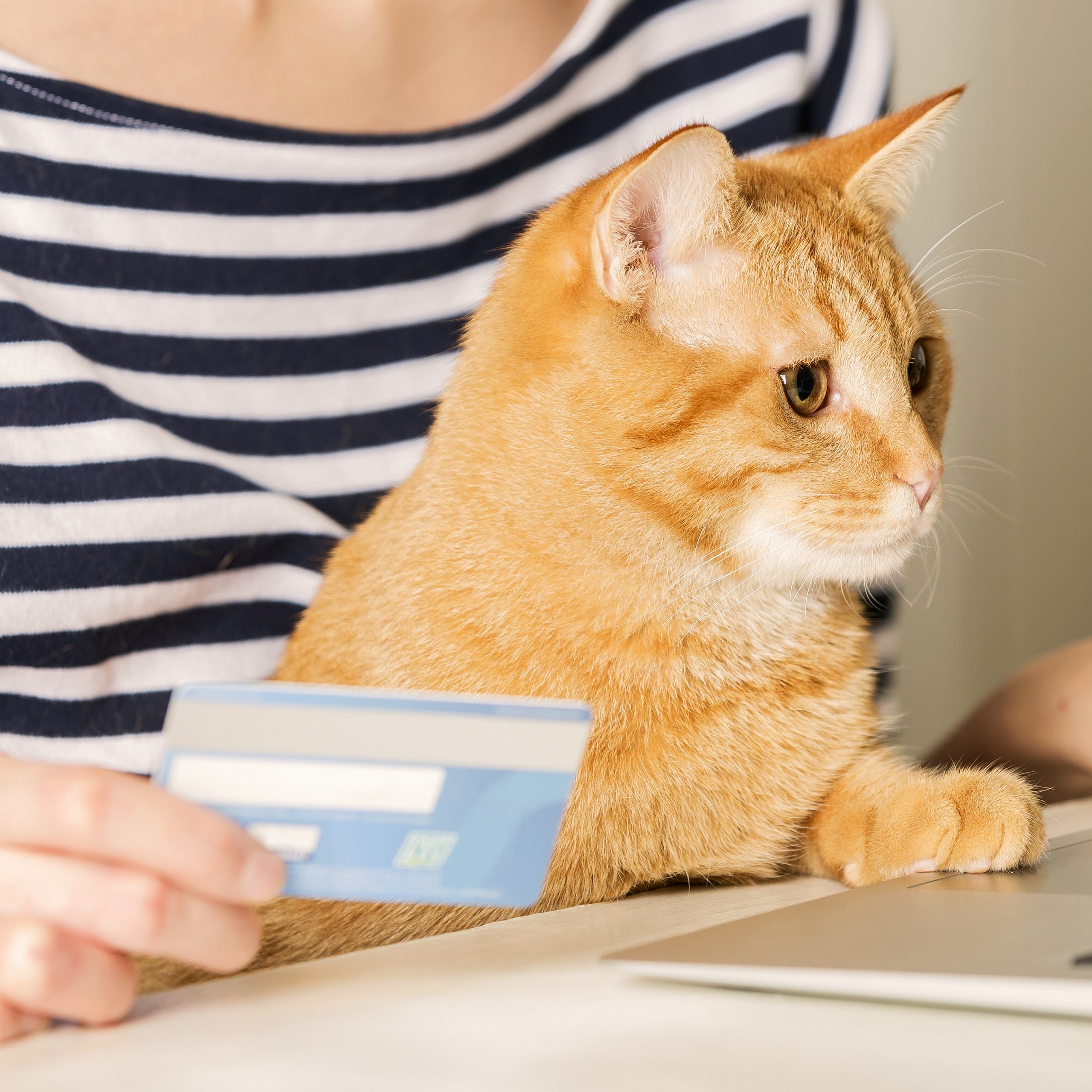 Top Free Samples for Pets and Kids You Can Claim Now