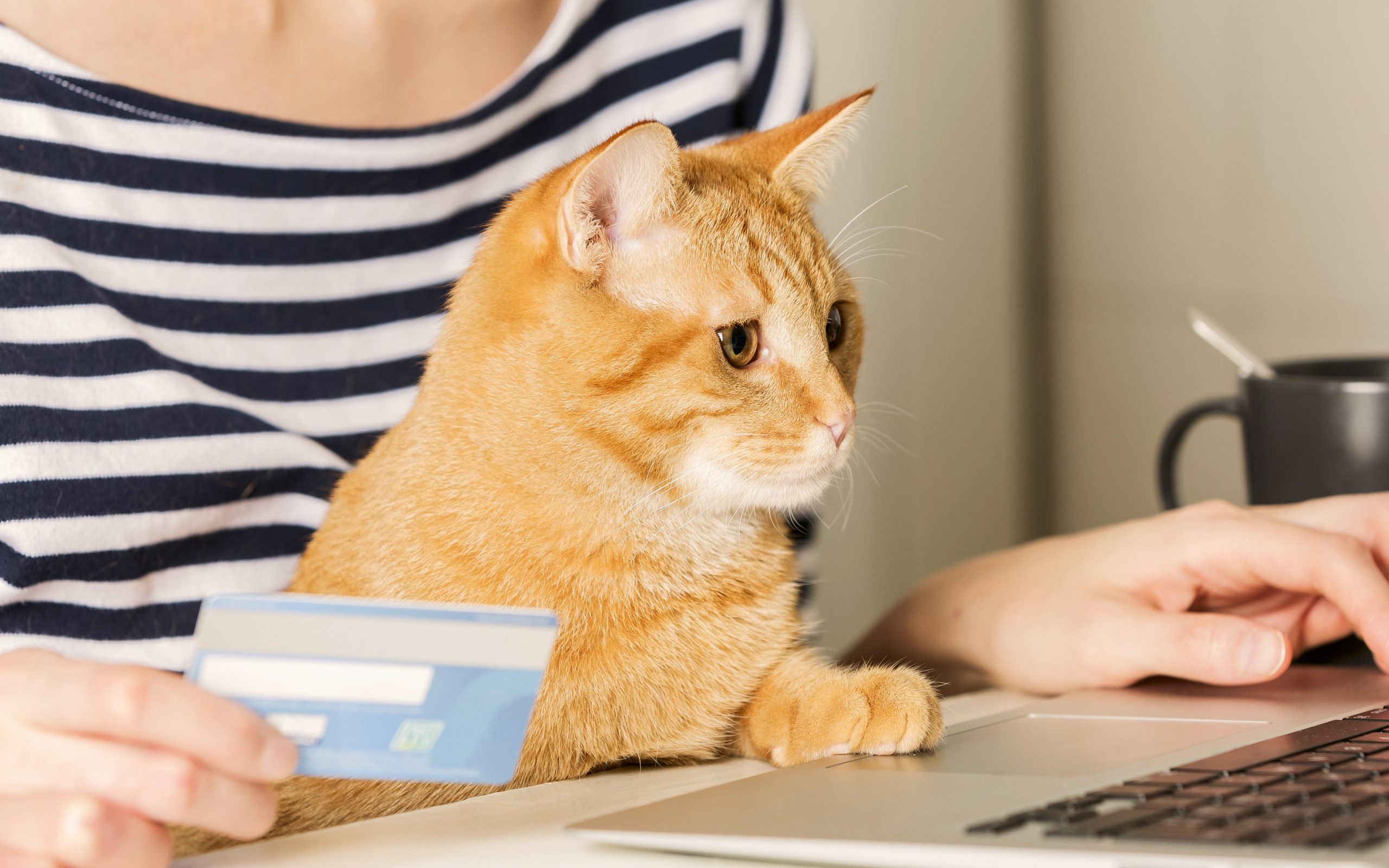 Top Free Samples for Pets…