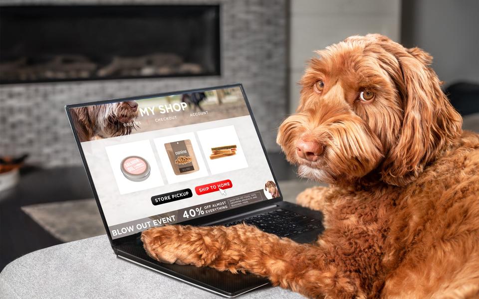 Best Free Samples for Pets & Kids You Can Grab Right Now